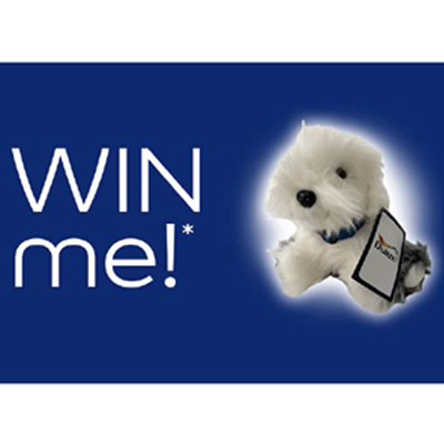Win a Cuddly Dulux Dog Toy