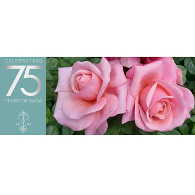 Win 1 of 75 Saga Rose Potted Plant