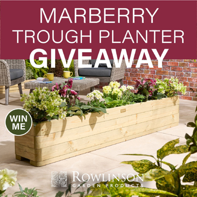 Win a Marberry Trough Planter