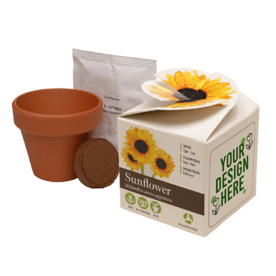 Free DEBRA Seed Kit