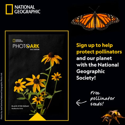 Free National Geographic Seeds
