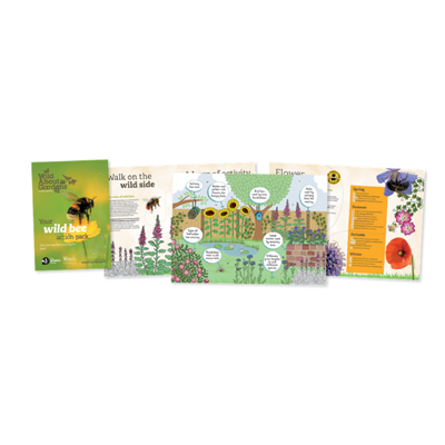 Free Wild Bee Kit