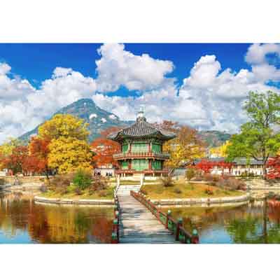 Win a Trip to South Korea